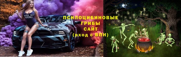бошки Протвино