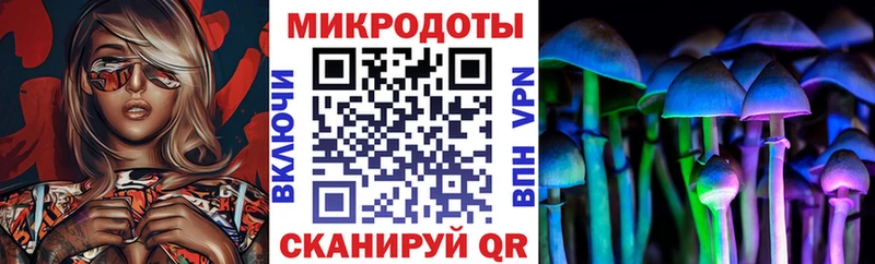 Псилоцибиновые грибы Cubensis  Светогорск 